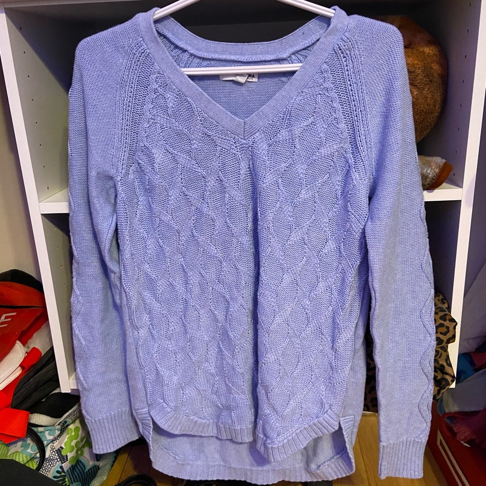 Blue Sweater
